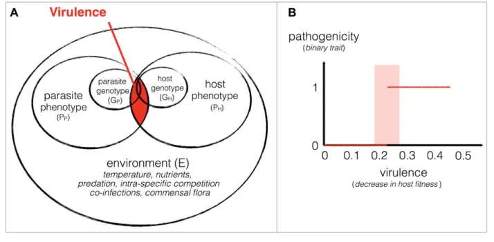 Fig. 1. Spatial schema representing how the virulence of an infection arises (A) and how a biological association moves from virulence to pathogenicity (B)