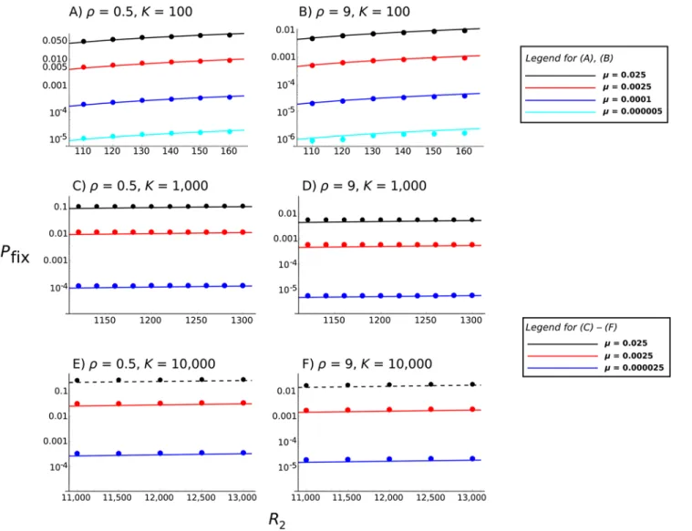 Fig 3. Comparison of simulations with analytical solutions. Comparisons of the full analytical solution (Equation 7, with Π given by Equation 10) with simulation results