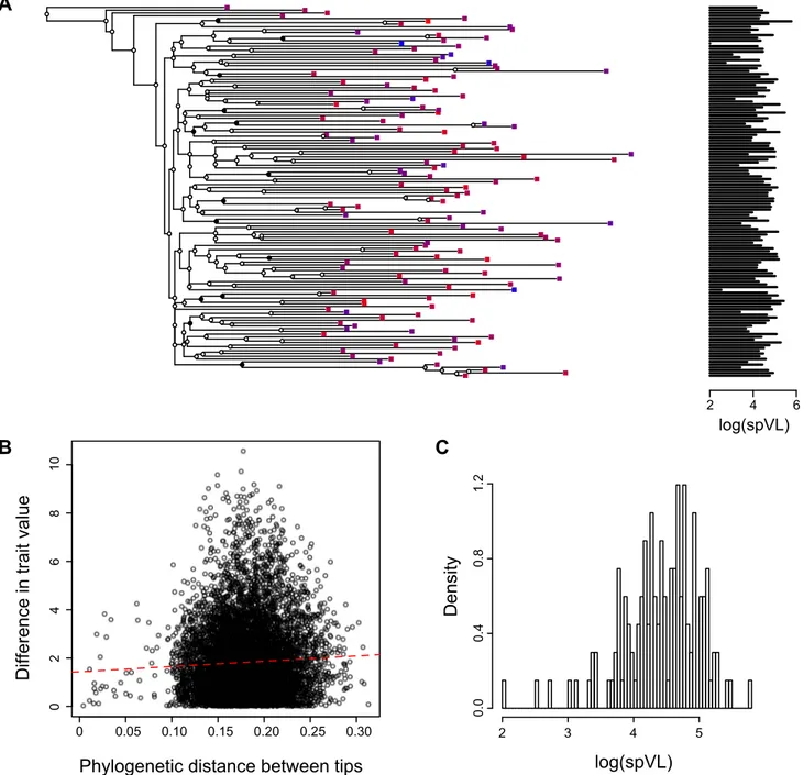 Figure 1. Combining phylogenies and trait values in the MSM strict dataset. A) A phylogeny based on HIV sequences obtained from patients with known set-point viral loads, B) Phylogenetic distance between two tips versus difference in trait value between th