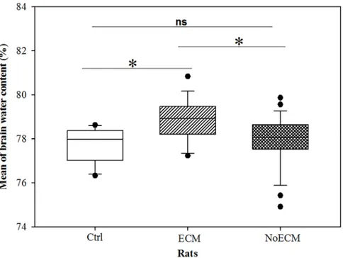 Fig 9. Edema test. Quantification of water contained in brains of ECM (n = 12), NoECM (n = 13) and Control brains (n = 8)