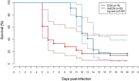 Fig 1. Kaplan-Meyer curve estimate of a survival, with 95% confidence limits, of young Sprague Dawley (SD) rats with Experimental Cerebral Malaria (ECM; n = 18) and without Experimental Cerebral Malaria (NoECM; n = 22) after K173 infection