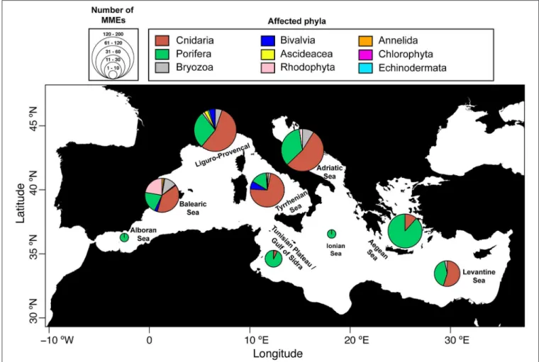 FIGURE 1 | Number of mass mortality events reported in the Mediterranean Sea: geographic distribution and taxa affected over the period from 1979 to 2017 (the Western Mediterranean ecoregion was further divided in three sub-ecoregions: Balearic Sea, Liguro