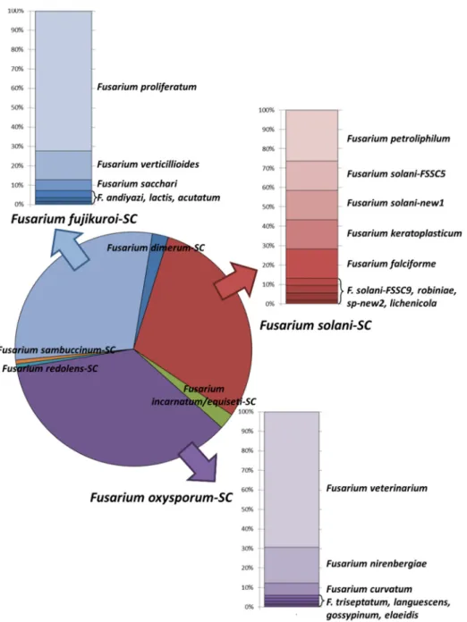 Figure 3. Species distribution of 182 Fusarium spp. isolates identified in 20 European centers cen- cen-ters during a one-year prospective study