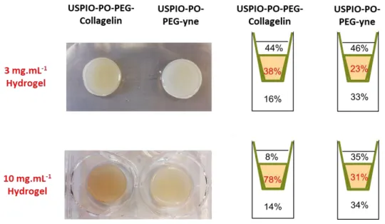 Figure 5: Distribution of USPIO-PO-PEG-Collagelin in the different compartments after 72  hours