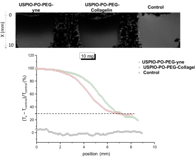 Figure 8: Evolution of the MRI attenuation signal along the hydrogel thickness (position x) of  10 mg.mL -1  collagen hydrogels (black curve) after 72h incubation of USPIO-PO-PEG-yne and  USPIO-PO-PEG-Collagelin NPs