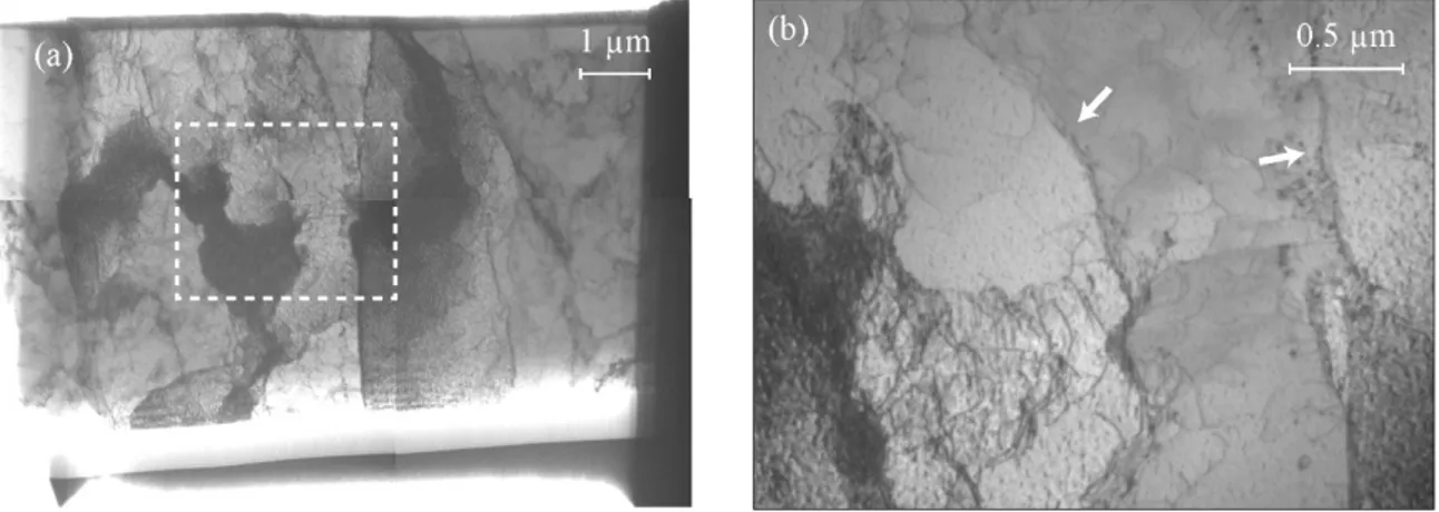 Figure 5. (a) TEM thin foil extracted from the contact region between two particles during densification of a Ni powder  by SPS