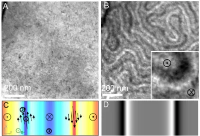 Figure 2: A. In-focus image of FePd sample. B. Over-focus (15µm) of the same area as in A