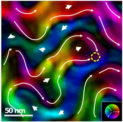 Figure 3: Magnetization map from a phase retrieval process issued from a zoom in Fig 4