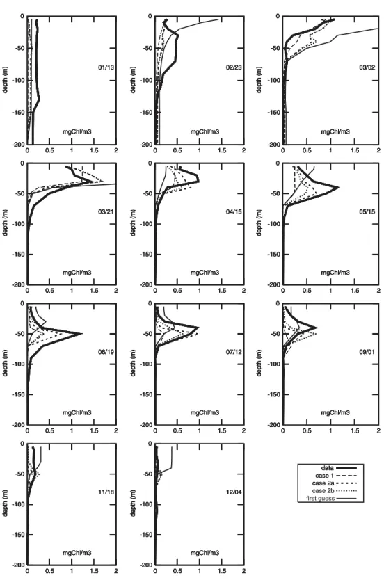 Fig. 3. Chlorophyll profiles (mg Chla m  3 ) for year 1997. Depth in meters. The observed profiles as well as the first guess, Case 1, Case 2a and Case 2b profiles are represented according to the legend above.