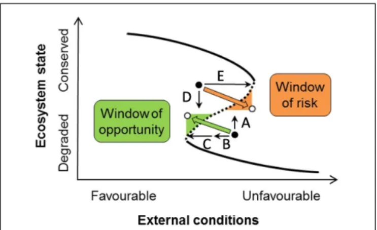 FIGURE 8 | Windows of opportunity and risk (see Figure 1 for explanation of the concept of catastrophic shifts)