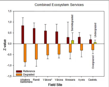 FIGURE 5 | Summary of the loss of standardized ecosystem services (water and soil conservation, nutrient cycling, C sequestration, and fire risk reduction, the latter only in Ayora) and biodiversity due to the local degradation stress in all field sites