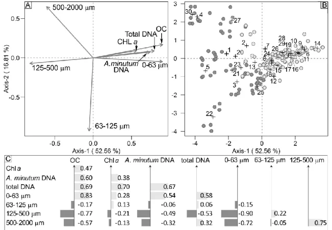 Figure 3. Relationship between environmental parameters (chlorophyll a: CHL a; organic carbon: OC, 880 