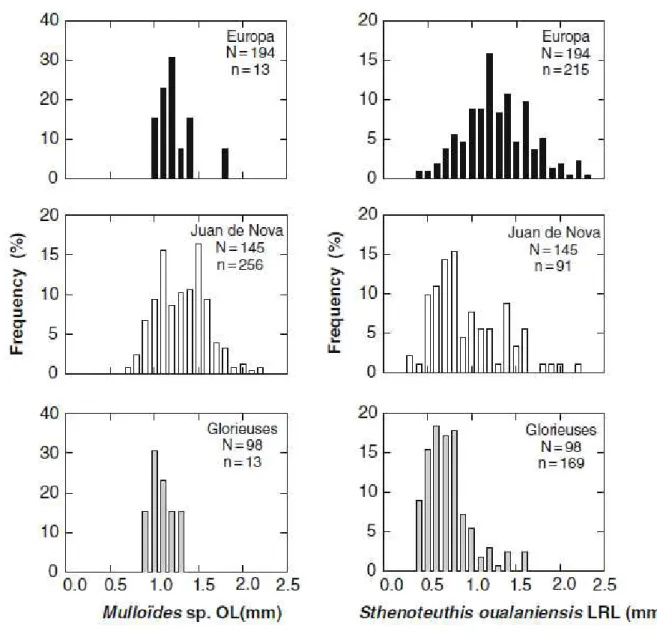 Figure 4. Frequency distributions of otolith length (OL) of fish larvae (Mulloïdes sp.), and of  lower  rostral  length  (LRL)  of  beak  of  cephalopod  (Sthenoteuthis  oualaniensis)  for  localities  from the Mozambique Channel