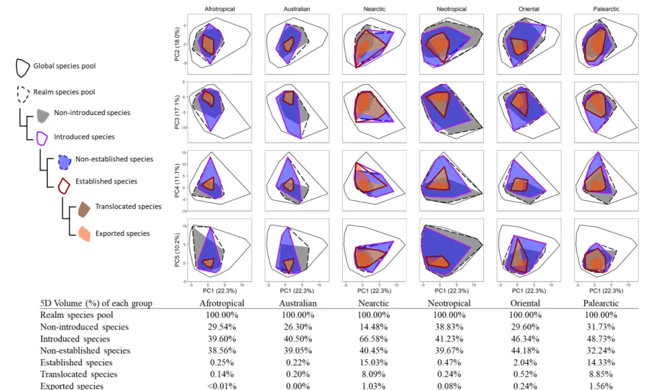 Figure 3 Distributions of the different groups of species in the five dimensional morphological space for each realm