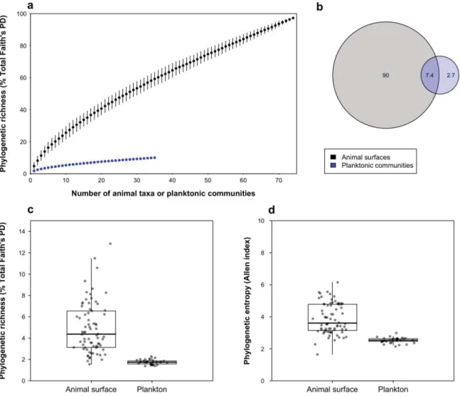 Figure 1. Phylogenetic diversity of reef microbial communities 