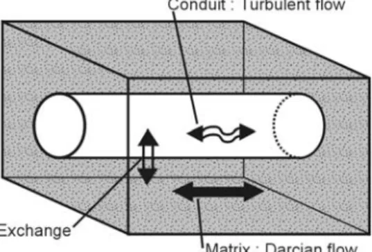 Figure 2. Conceptual sketch of the mechanism of salinization by diffuse saline inflow into a coastal karst conduit (case of an unconfined aquifer).