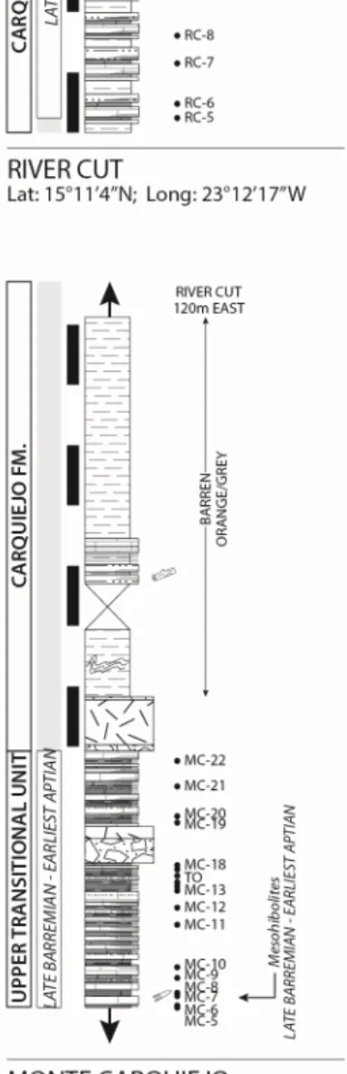 Fig.  7  –  Detailed  sedimentary  log  of  the  Monte  Carquiejo  and  River  Cut  section,  separated  by  approximately 120 m