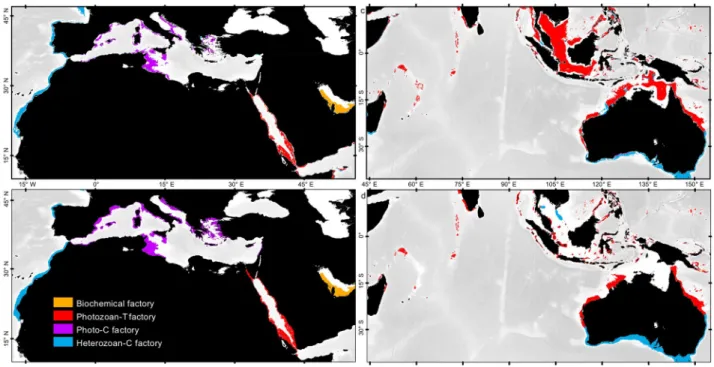 Figure 5.  Modeling accuracy map showing the differences between the observation map of shallow-water  carbonate distribution and the simulated map obtained using the carbonate factory functions