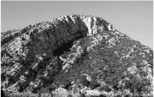 Fig. 3. Le pli anticlinal de Pont Mirabeau.