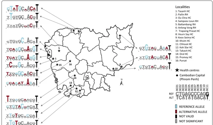 Fig. 2  Uneven distribution of alleles in the P. falciparum population over Cambodia. Barcode was determined per sampling areas