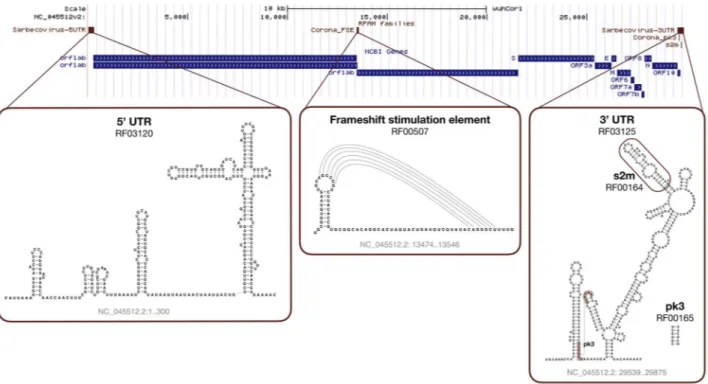 Figure 5. SARS-CoV-2 Rfam secondary structure predictions. The sequence is based on the NC_045512.2 RefSeq entry displayed with the wuhCor1 UCSC Genome Browser alongside the NCBI Genes track.