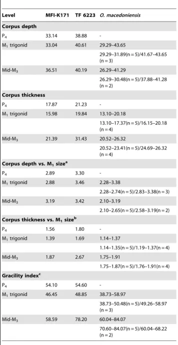 Table 2. Comparison of the corpora measurements and indices of MFI-K171, TF 6223, and Ouranopithecus macedoniensis.