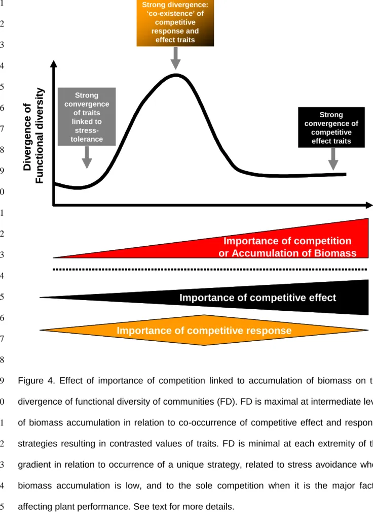 Figure  4.  Effect  of  importance  of  competition  linked  to  accumulation  of  biomass  on  the 19 