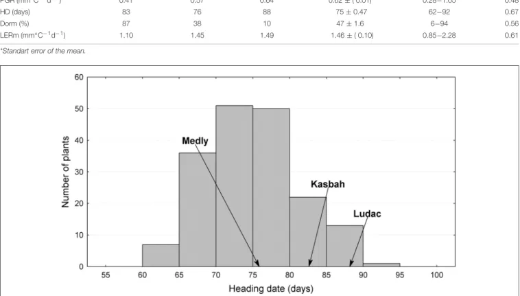 FIGURE 1 | Distribution of heading date (HD) for the offspring between two Dactylis glomerata L