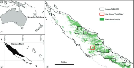 Figure 1  :  Localisation des Images Pléiades  et du  site d'étude &#34;Forêt Plate&#34;  dans la Province Nord de la Nouvelle- Nouvelle-Calédonie.