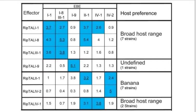 FIGURE 5 | RipTALs form functional groups based on cross activation. Increase in GUS-reporter activity for RipTALs on promoters with predicted EBEs.