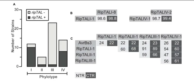 FIGURE 1 | RipTAL abundance differs across Ralstonia solanacearum phylotypes but RipTALs sequences are similar within and different across phylotypes