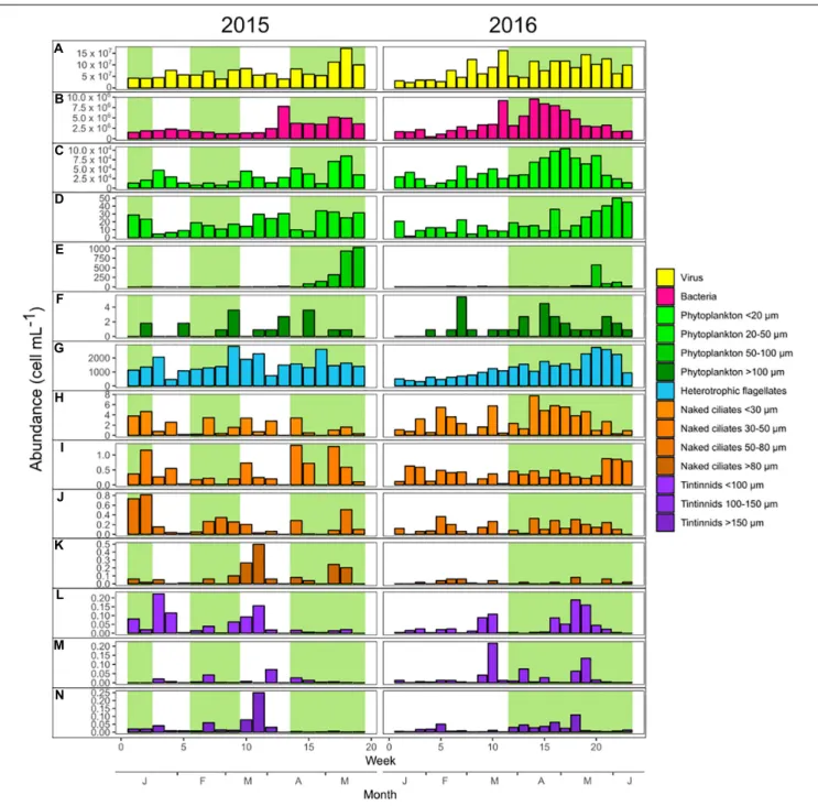 FIGURE 1 | Weekly abundances of the main microbial plankton groups during 2015 (left panels) and 2016 (right panels)