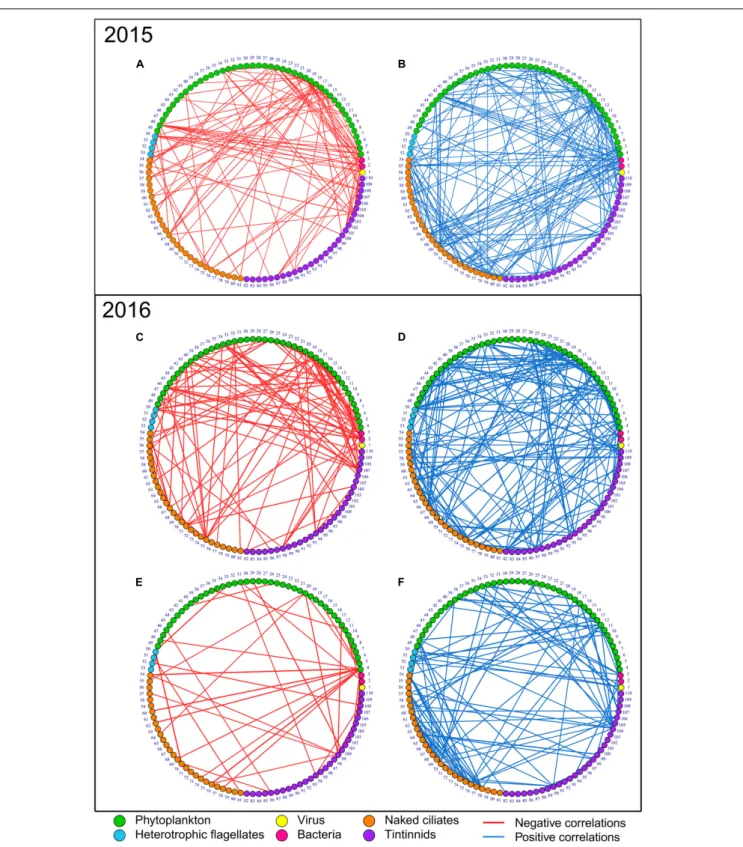 FIGURE 2 | Negative (red edges, left networks) and positive (blue edges, right networks) correlation networks of the microbial communities in 2015 and 2016