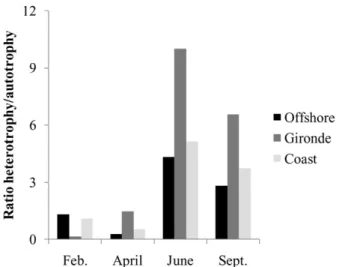 Fig. 7. Heterotrophic/autotrophic biomass ratio over the photic zone at the three stations.