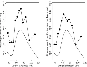 Figure 9. Comparison between the corrected growth rate (predicted values from a GAM in which time at  liberty was fixed at one day at sea) represented by the continuous line, the observed apparent growth rate (in  the left figure) and the simulated growth 