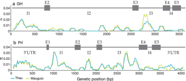 Fig. 3. Sparus aurata. Profiles of nucleotide diversity averaged in 100 bp sliding windows along (a) growth hormone (GH) and  (b) prolactin (Prl) genes in the Mauguio and Thau lagoons