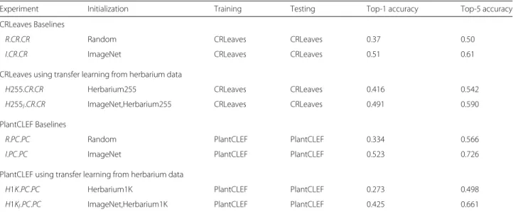 Table 5 Results of the experiments related to transfer learning from Herbarium to non-dried plant images