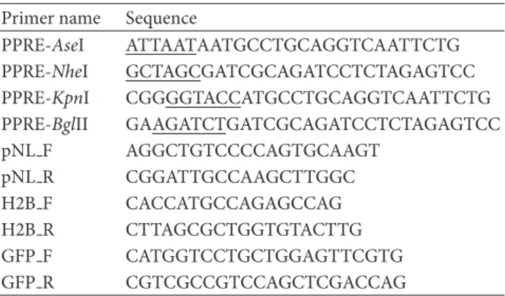 Table 1: Primers used to amplify DNA fragments by PCR for vector construction, confirmation, and generation of cloned fragments.