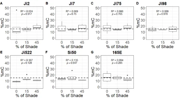 Figure 2. Global DNA methylation variation with shade in highly inbred lines of A. majus