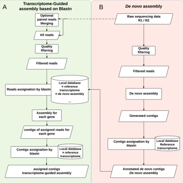 Fig 1. Transcriptome-guided assembly pipeline. We present the pipeline for transcriptome assembly and contig assignment