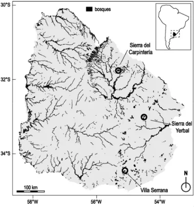 Figura 1. Localización de las áreas de estudio. Los bosques son indicados por el color  negro