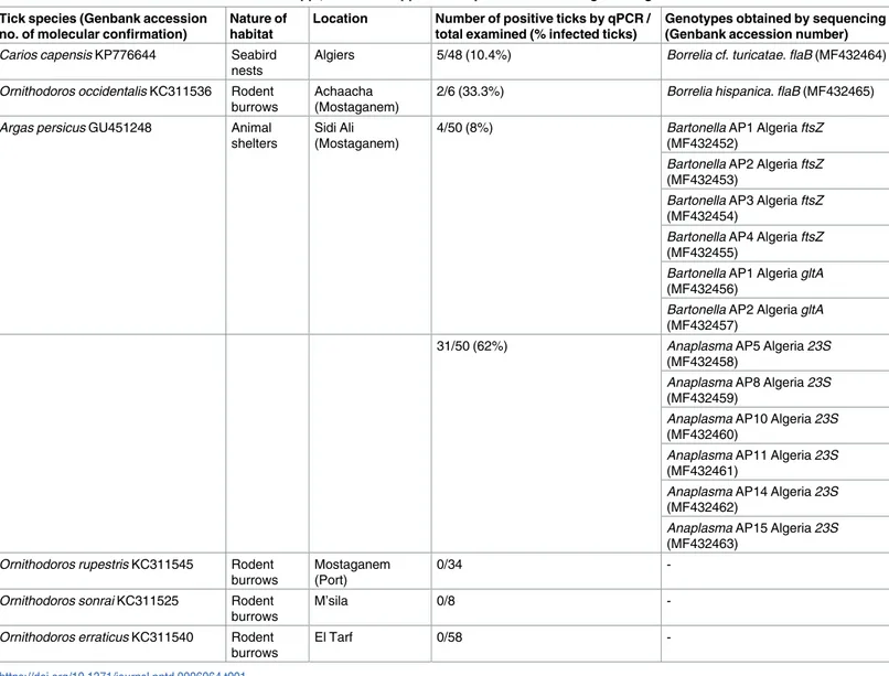 Table 1. Detection and identification of Borrelia spp., Bartonella spp. and Anaplasmataceae in Algerian argasid ticks.