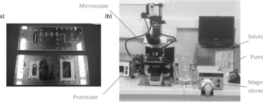 Fig. 3 (a) Transparent milli-fluidic device (b) Experimental setup with optical system 