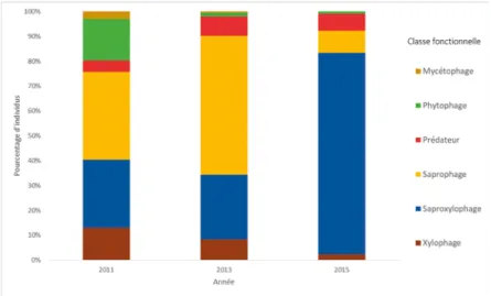 Figure 4. Pourcentages des effectifs des coléoptères par classe fonctionnelle, avant  éradications (2011) et après éradications (2013 et 2015) (la classe fonctionnelle est celle  de l’état larvaire et non celle de l’état adulte).