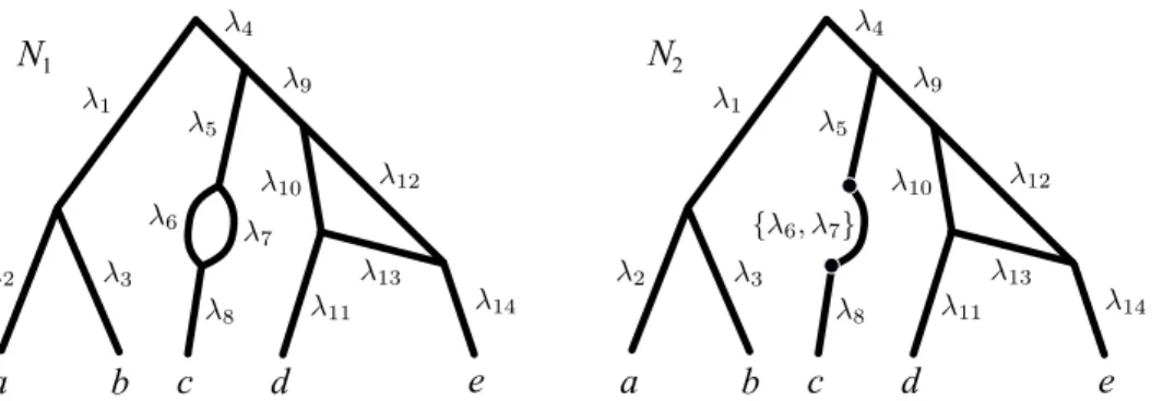 Fig 9. Alternative network representations for the evolutionary scenario in Fig. 8 (right)