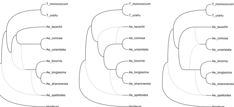 Fig 11. Real-world example of indistinguishable network topologies. (Reproduced from [54], Fig