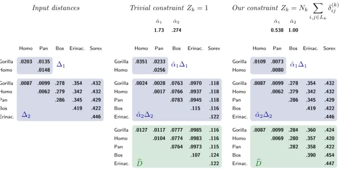 Figure 8 – Changing behaviour of ERaBLE with different contraints. In this example, ERaBLE is run on the two distance matrices 1 and 2 on the left
