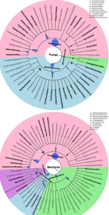 Figure 3. Taxonomic and phylogenetic trees of fungal and bacterial community structures in PM 10 at the study site