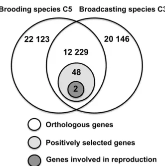 Table 2 Comparison of transcriptomic genetic diversity between broadcasting C3 and brooding C5 species