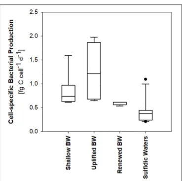 FIGURE 5 | Heterotrophic bacterial production in different types of bottom water (BW) and in sulfidic waters.